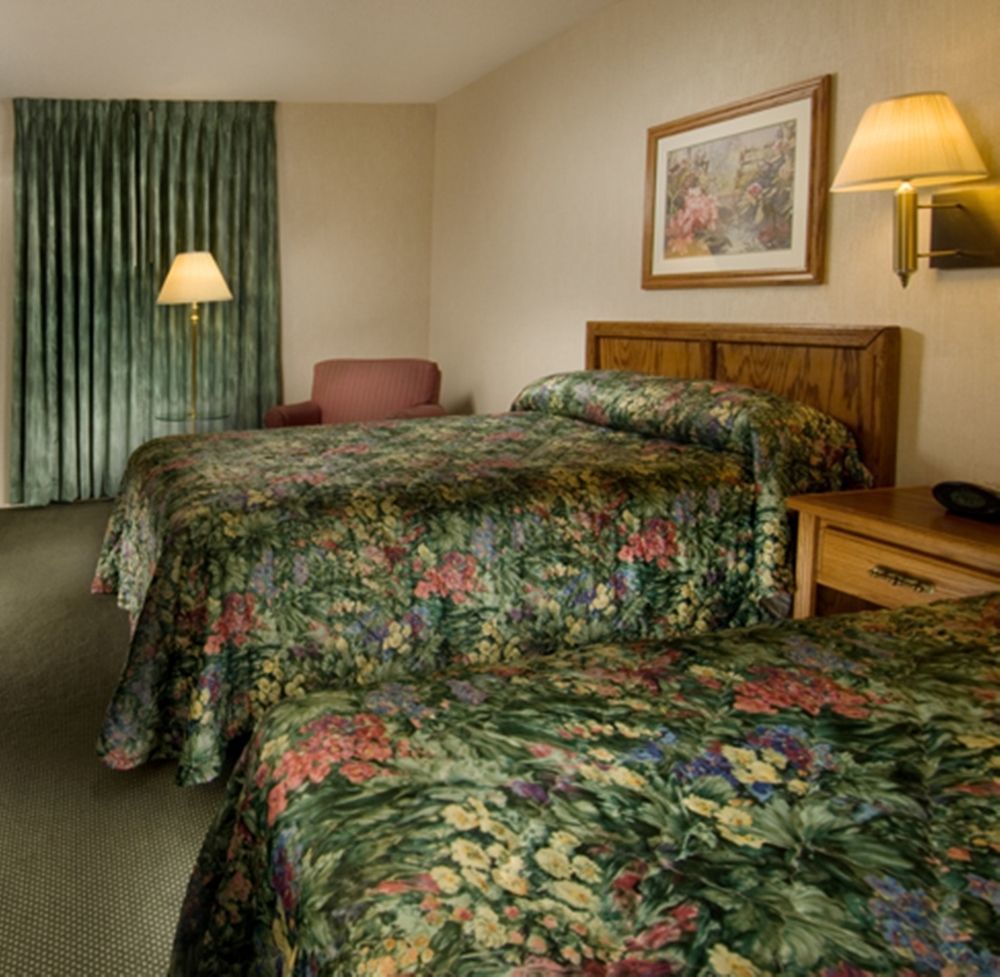 Hotel Wingate By Wyndham St Louis-Fenton Route 66 Esterno foto